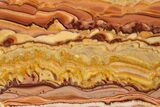 Polished Slab Of Rolling Hills Dolomite - Mexico #324336-1